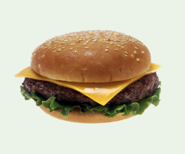 Cheese Burger